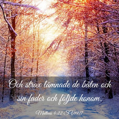 Picture 03 - Matteus 4:22 SV1917 - Och strax lämnade de båten och sin fader och - Bible Verse Picture
