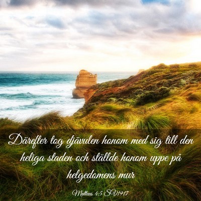 Picture 03 - Matteus 4:5 SV1917 - Därefter tog djävulen honom med sig till den - Bible Verse Picture
