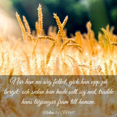 Picture 03 - Matteus 5:1 SV1917 - När han nu såg folket, gick han upp på berget; - Bible Verse Picture