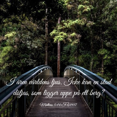 Picture 03 - Matteus 5:14 SV1917 - I ären världens ljus. Icke kan en stad döljas, - Bible Verse Picture