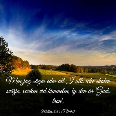 Picture 03 - Matteus 5:34 SV1917 - Men jag säger eder att I alls icke skolen - Bible Verse Picture
