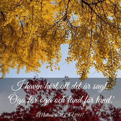 Picture 03 - Matteus 5:38 SV1917 - I haven hört att det är sagt: 'Öga för öga - Bible Verse Picture