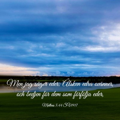 Picture 03 - Matteus 5:44 SV1917 - Men jag säger eder: Älsken edra ovänner, och - Bible Verse Picture