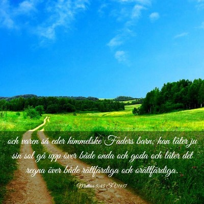 Picture 03 - Matteus 5:45 SV1917 - och varen så eder himmelske Faders barn; han - Bible Verse Picture