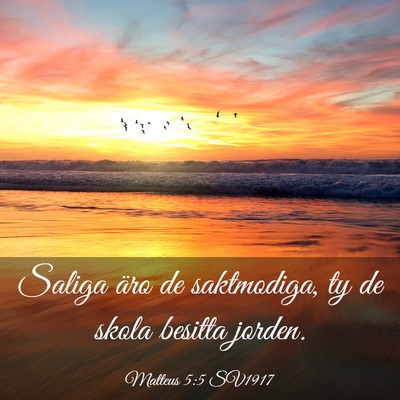 Picture 03 - Matteus 5:5 SV1917 - Saliga äro de saktmodiga, ty de skola besitta - Bible Verse Picture