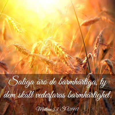 Picture 03 - Matteus 5:7 SV1917 - Saliga äro de barmhärtiga, ty dem skall - Bible Verse Picture