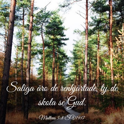 Picture 03 - Matteus 5:8 SV1917 - Saliga äro de renhjärtade, ty de skola se - Bible Verse Picture