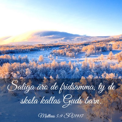 Picture 03 - Matteus 5:9 SV1917 - Saliga äro de fridsamma, ty de skola kallas Guds - Bible Verse Picture