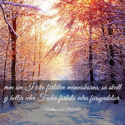 Picture 03 - Matteus 6:15 SV1917 - men om I icke förlåten människorna, så skall - Bible Verse Picture