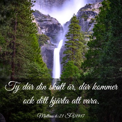 Picture 03 - Matteus 6:21 SV1917 - Ty där din skatt är, där kommer ock ditt - Bible Verse Picture