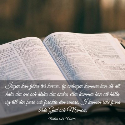 Picture 03 - Matteus 6:24 SV1917 - Ingen kan tjäna två herrar; ty antingen kommer - Bible Verse Picture