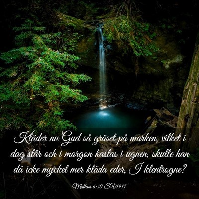 Picture 03 - Matteus 6:30 SV1917 - Kläder nu Gud så gräset på marken, vilket i - Bible Verse Picture