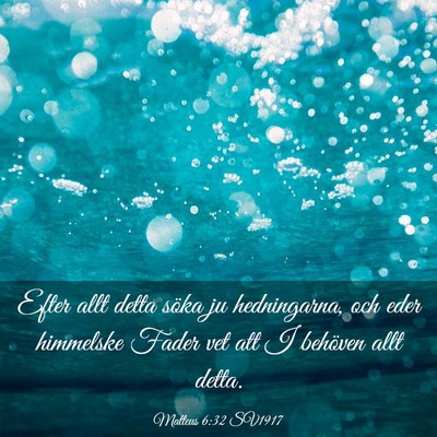 Picture 03 - Matteus 6:32 SV1917 - Efter allt detta söka ju hedningarna, och eder - Bible Verse Picture