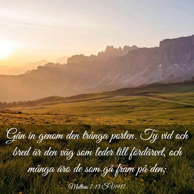 Picture 03 - Matteus 7:13 SV1917 - Gån in genom den trånga porten. Ty vid och bred - Bible Verse Picture