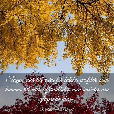Picture 03 - Matteus 7:15 SV1917 - Tagen eder till vara för falska profeter, som - Bible Verse Picture