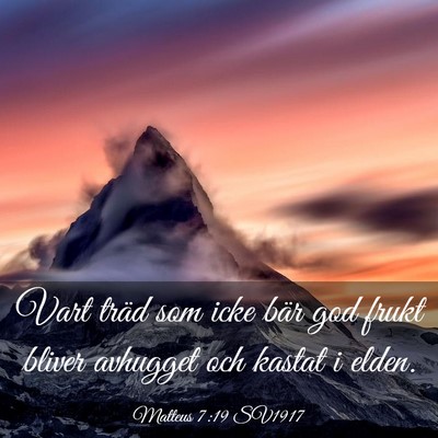 Picture 03 - Matteus 7:19 SV1917 - Vart träd som icke bär god frukt bliver - Bible Verse Picture