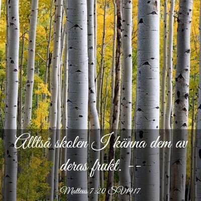 Picture 03 - Matteus 7:20 SV1917 - Alltså skolen I känna dem av deras frukt. - Bible Verse Picture