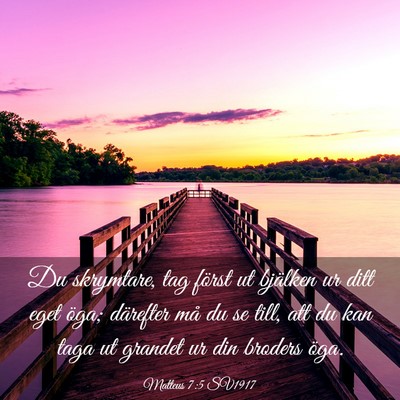 Picture 03 - Matteus 7:5 SV1917 - Du skrymtare, tag först ut bjälken ur ditt eget - Bible Verse Picture