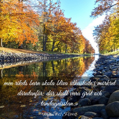 Picture 03 - Matteus 8:12 SV1917 - men rikets barn skola bliva utkastade i mörkret - Bible Verse Picture