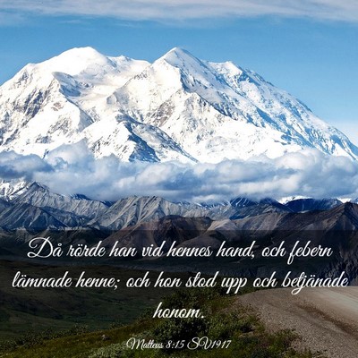 Picture 03 - Matteus 8:15 SV1917 - Då rörde han vid hennes hand, och febern - Bible Verse Picture