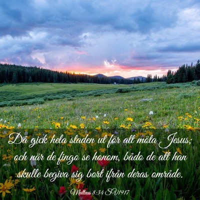 Picture 03 - Matteus 8:34 SV1917 - Då gick hela staden ut för att möta Jesus; och - Bible Verse Picture
