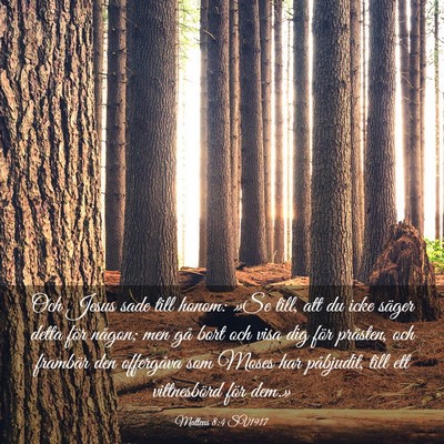 Picture 03 - Matteus 8:4 SV1917 - Och Jesus sade till honom: »Se till, att du icke - Bible Verse Picture