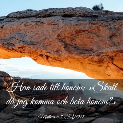 Picture 03 - Matteus 8:7 SV1917 - Han sade till honom: »Skall då jag komma och - Bible Verse Picture