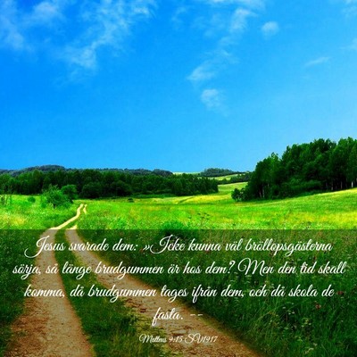 Picture 03 - Matteus 9:15 SV1917 - Jesus svarade dem: »Icke kunna väl - Bible Verse Picture