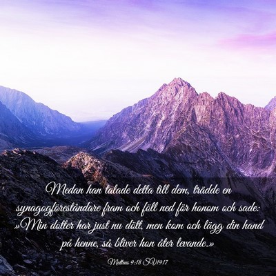 Picture 03 - Matteus 9:18 SV1917 - Medan han talade detta till dem, trädde en - Bible Verse Picture