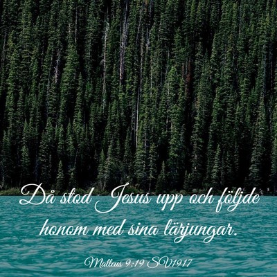 Picture 03 - Matteus 9:19 SV1917 - Då stod Jesus upp och följde honom med sina - Bible Verse Picture