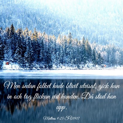 Picture 03 - Matteus 9:25 SV1917 - Men sedan folket hade blivit utvisat, gick han in - Bible Verse Picture