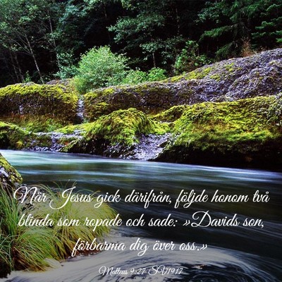 Picture 03 - Matteus 9:27 SV1917 - När Jesus gick därifrån, följde honom två - Bible Verse Picture