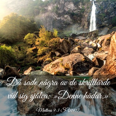 Picture 03 - Matteus 9:3 SV1917 - Då sade några av de skriftlärde vid sig - Bible Verse Picture