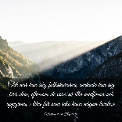 Picture 03 - Matteus 9:36 SV1917 - Och när han såg folkskarorna, ömkade han sig - Bible Verse Picture
