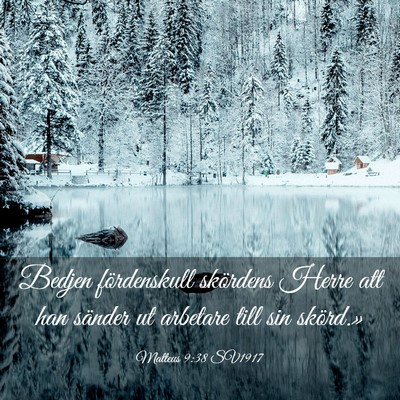 Picture 03 - Matteus 9:38 SV1917 - Bedjen fördenskull skördens Herre att han - Bible Verse Picture
