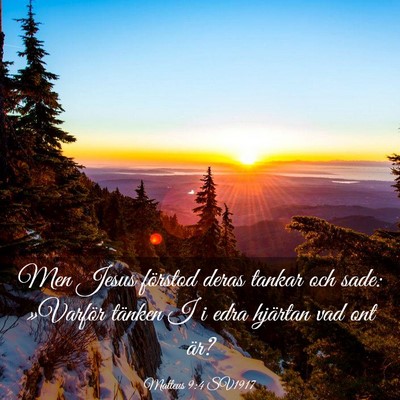 Picture 03 - Matteus 9:4 SV1917 - Men Jesus förstod deras tankar och sade: - Bible Verse Picture