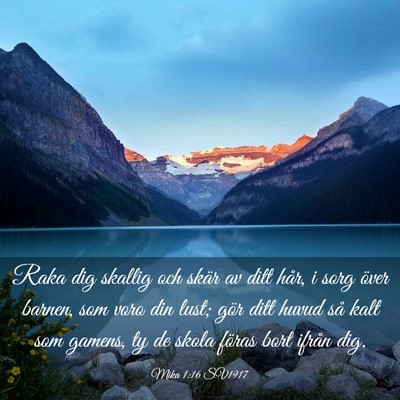 Picture 03 - Mika 1:16 SV1917 - Raka dig skallig och skär av ditt hår, i sorg - Bible Verse Picture