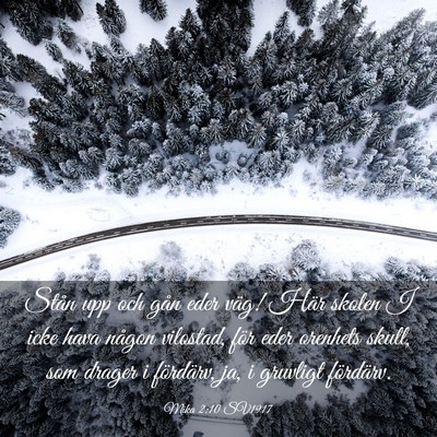 Picture 03 - Mika 2:10 SV1917 - Stån upp och gån eder väg! Här skolen I icke - Bible Verse Picture
