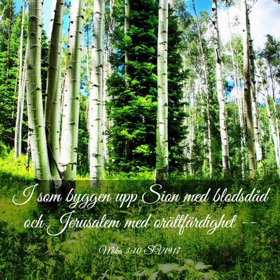 Picture 03 - Mika 3:10 SV1917 - I som byggen upp Sion med blodsdåd och Jerusalem - Bible Verse Picture