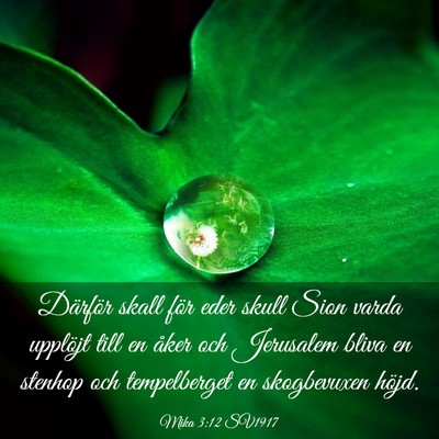 Picture 03 - Mika 3:12 SV1917 - Därför skall för eder skull Sion varda - Bible Verse Picture