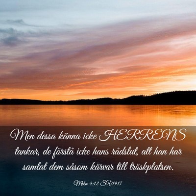 Picture 03 - Mika 4:12 SV1917 - Men dessa känna icke HERRENS tankar, de förstå - Bible Verse Picture