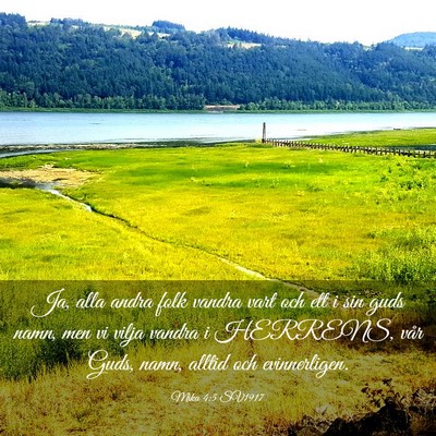 Picture 03 - Mika 4:5 SV1917 - Ja, alla andra folk vandra vart och ett i sin - Bible Verse Picture