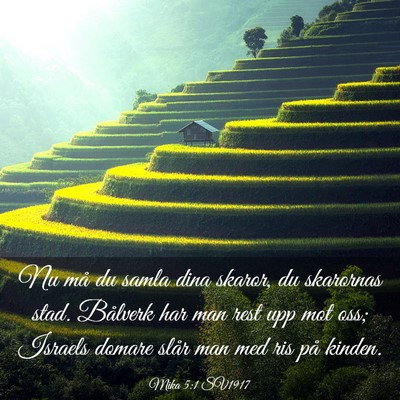 Picture 03 - Mika 5:1 SV1917 - Nu må du samla dina skaror, du skarornas stad. - Bible Verse Picture