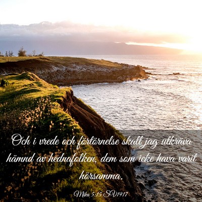 Picture 03 - Mika 5:15 SV1917 - Och i vrede och förtörnelse skall jag utkräva - Bible Verse Picture
