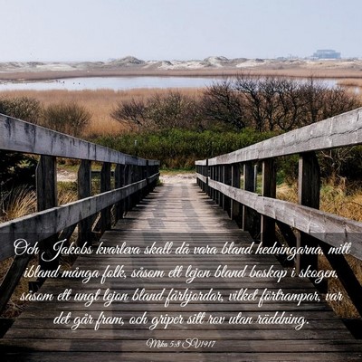 Picture 03 - Mika 5:8 SV1917 - Och Jakobs kvarleva skall då vara bland - Bible Verse Picture