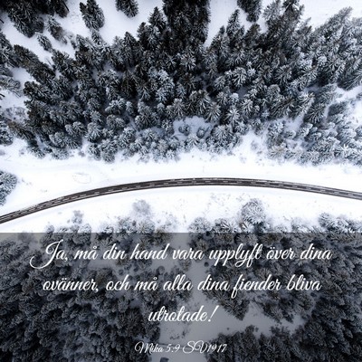 Picture 03 - Mika 5:9 SV1917 - Ja, må din hand vara upplyft över dina - Bible Verse Picture