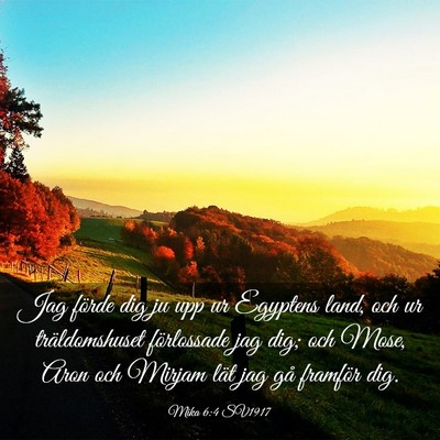 Picture 03 - Mika 6:4 SV1917 - Jag förde dig ju upp ur Egyptens land, och ur - Bible Verse Picture
