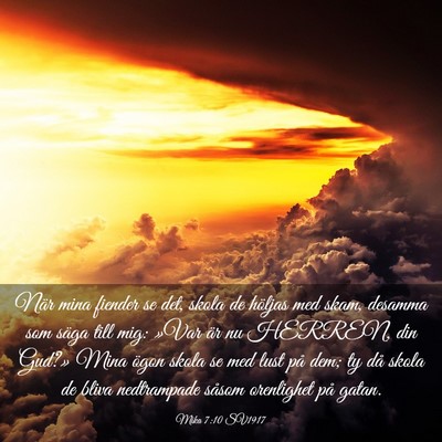 Picture 03 - Mika 7:10 SV1917 - När mina fiender se det, skola de höljas med - Bible Verse Picture