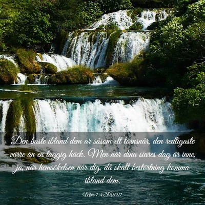 Picture 03 - Mika 7:4 SV1917 - Den bäste ibland dem är såsom ett törnsnår, - Bible Verse Picture
