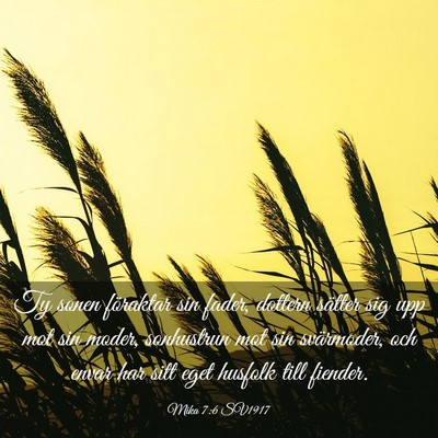 Picture 03 - Mika 7:6 SV1917 - Ty sonen föraktar sin fader, dottern sätter sig - Bible Verse Picture